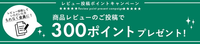 レビュー投稿