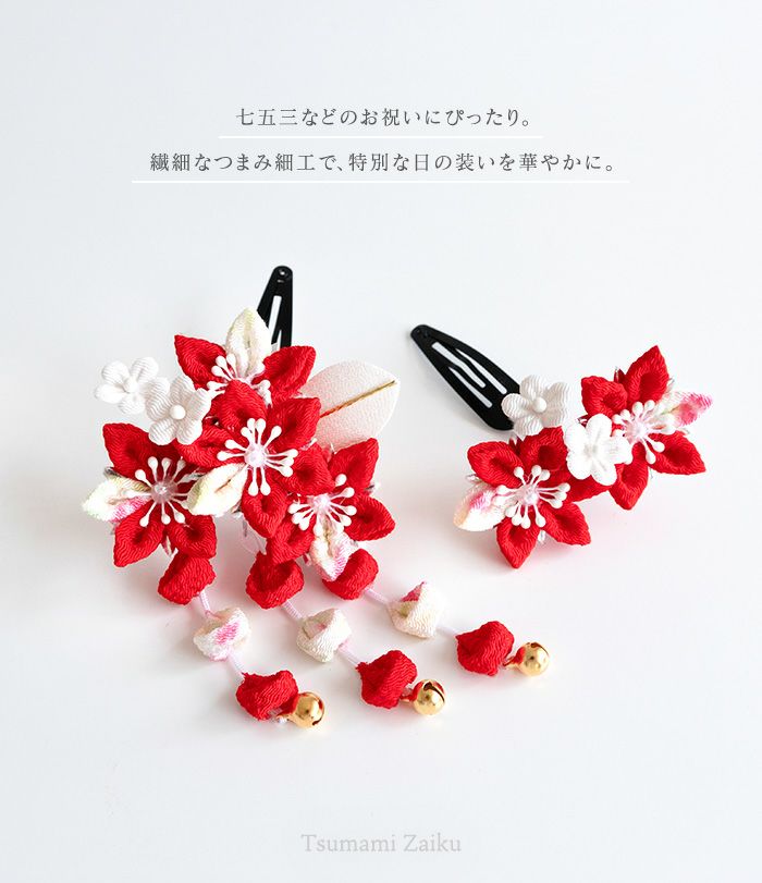 000000002493-02.jpg?size=l&w=