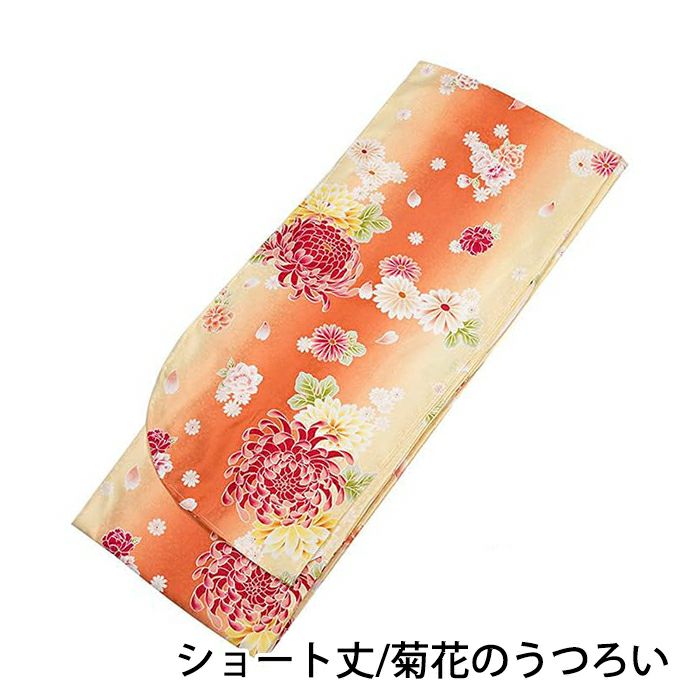 二尺袖着物 単品 ) ショート丈 着物 卒業式 大学生 大学 中学生 小学生